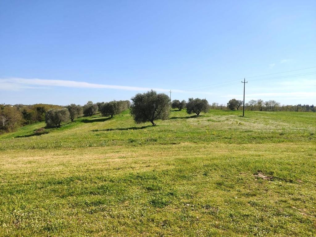 Podere San Giuseppe Acquapendente Exteriör bild